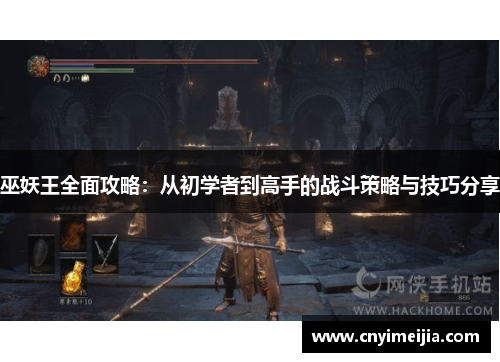 巫妖王全面攻略：从初学者到高手的战斗策略与技巧分享