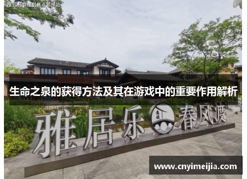 生命之泉的获得方法及其在游戏中的重要作用解析