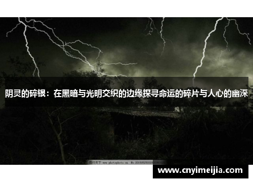 阴灵的碎银：在黑暗与光明交织的边缘探寻命运的碎片与人心的幽深